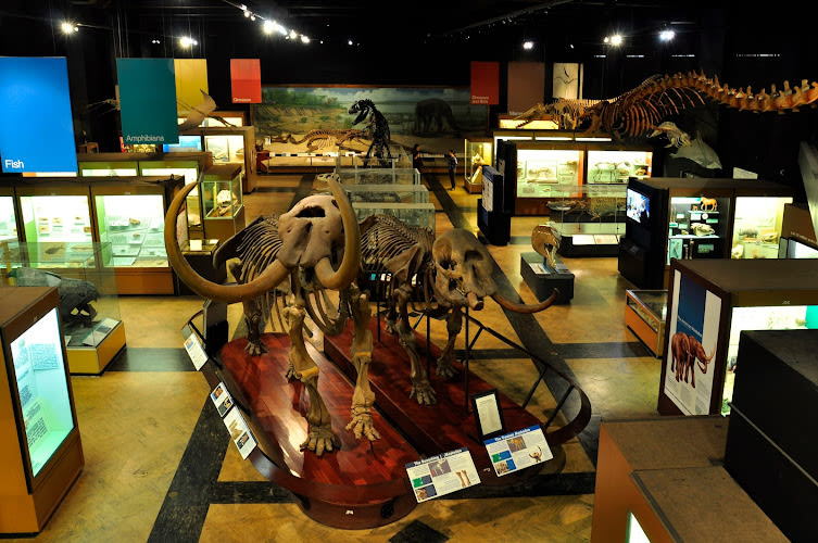 University of Michigan Museum of Natural History