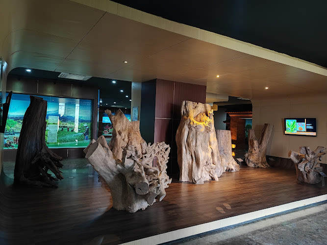 Museum Geopark Batur