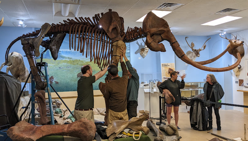 Natural History Society of Maryland