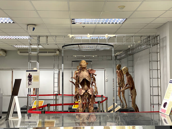 Museum of Human Body