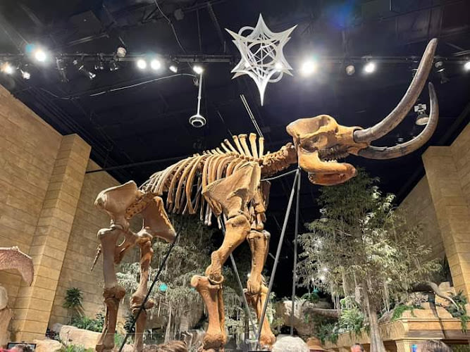 Creation Experience Museum