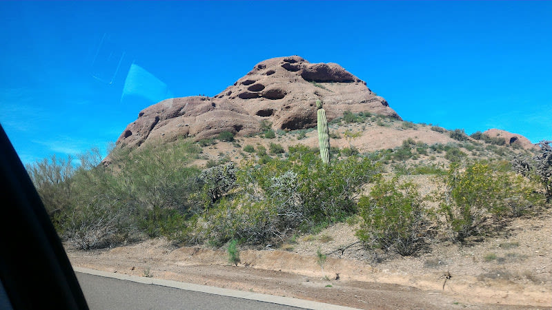 Desert Botanical Garden