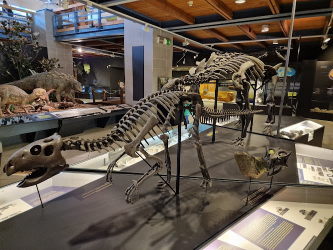 Hungarian Natural History Museum