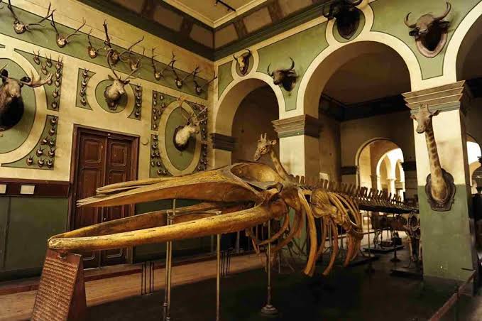 The Agricultural Museum