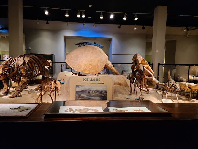 Texas Science & Natural History Museum