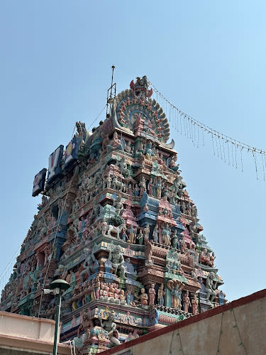 Arulmigu Sri Parthasarathy Perumal Temple Tiruvallikeni