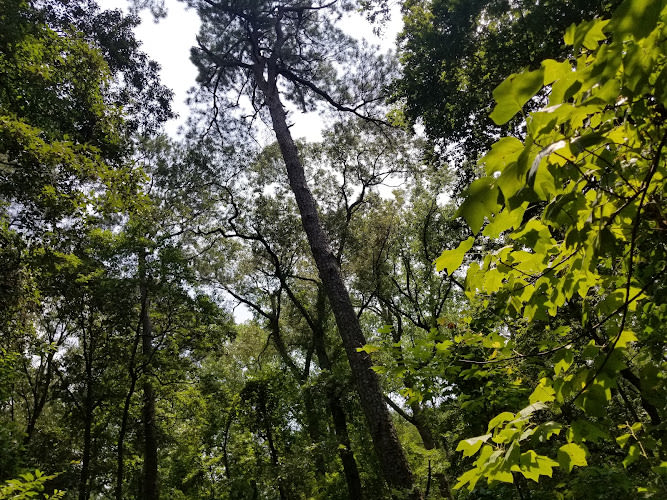 Indian River Park South Side