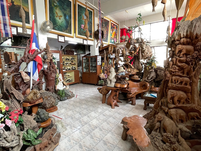 Museum of World Insects and Natural Wonders