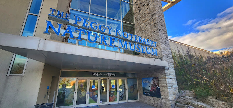 Peggy Notebaert Nature Museum