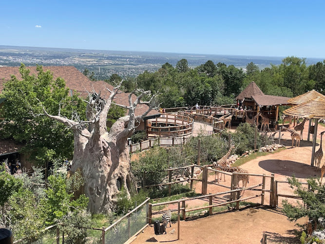 Cheyenne Mountain Zoo