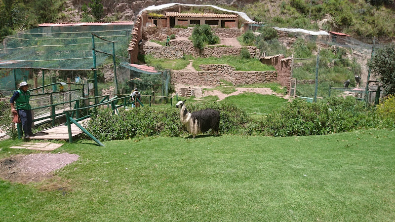 Cochahuasi Animal Sanctuary