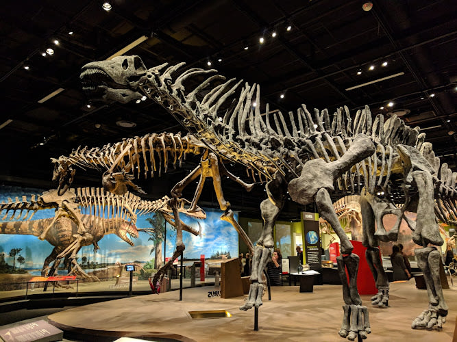 Denver Museum of Nature & Science