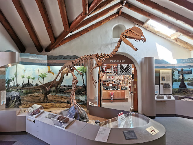 Museum of Northern Arizona