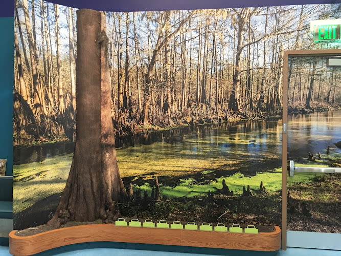 Florida Museum