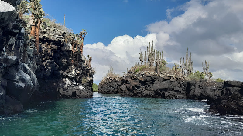 Galapagos Up las Grietas