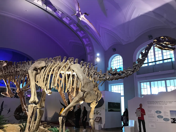 Finnish Museum of Natural History