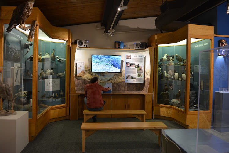 Pratt Museum