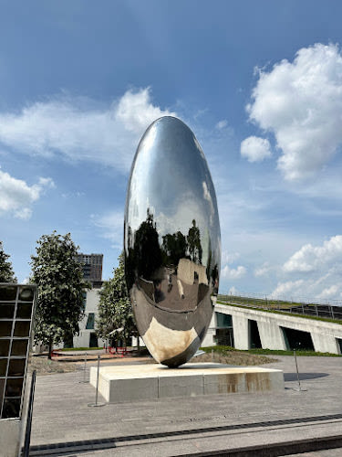 The Museum of Fine Arts, Houston
