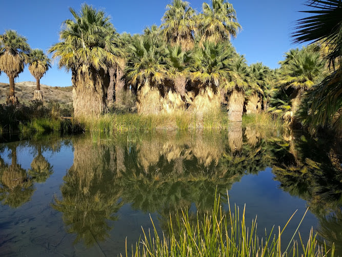 Coachella Valley Preserve - Thousand Palms Oasis Preserve