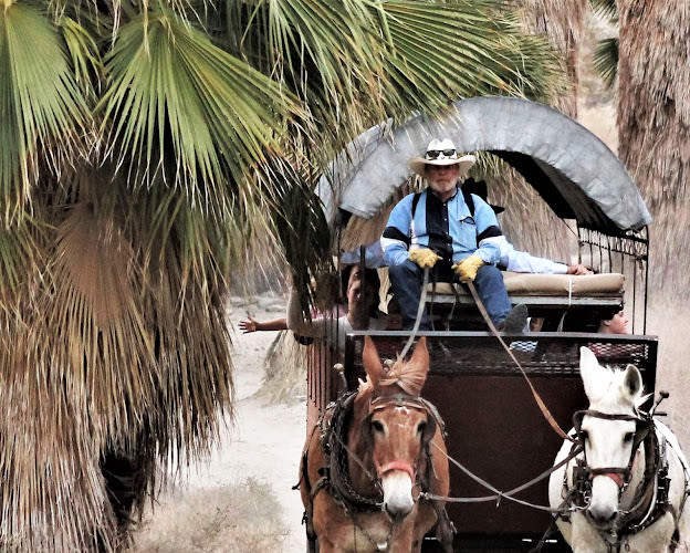 Covered Wagon Tours