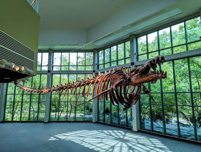 Mississippi Museum of Natural Science