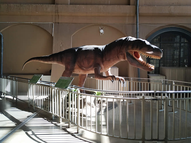 Sci-Bono Discovery Centre