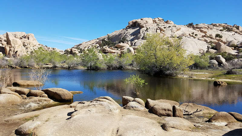 Joshua Tree National Park