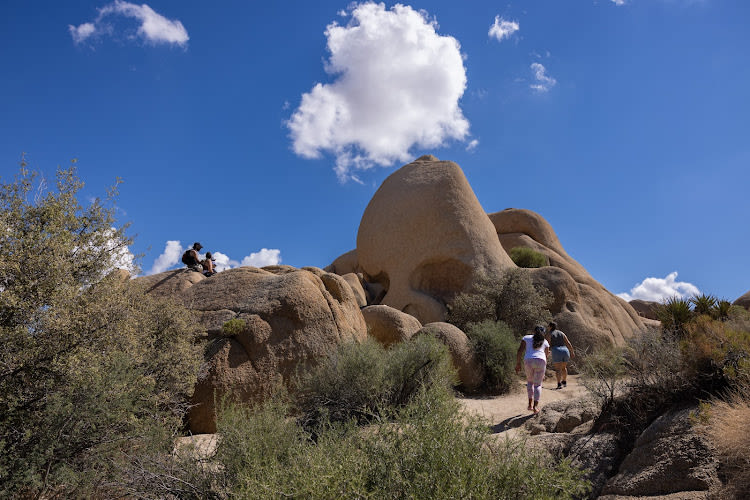 Skull Rock Trail