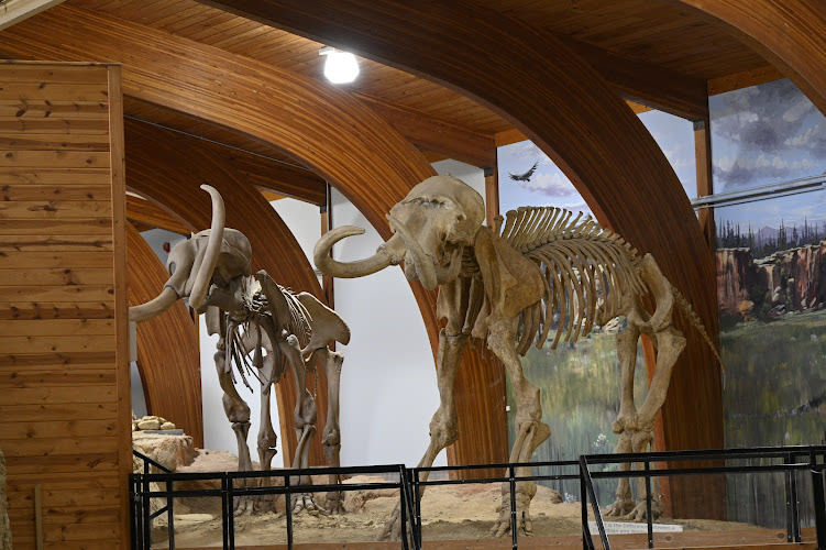 The Mammoth Site