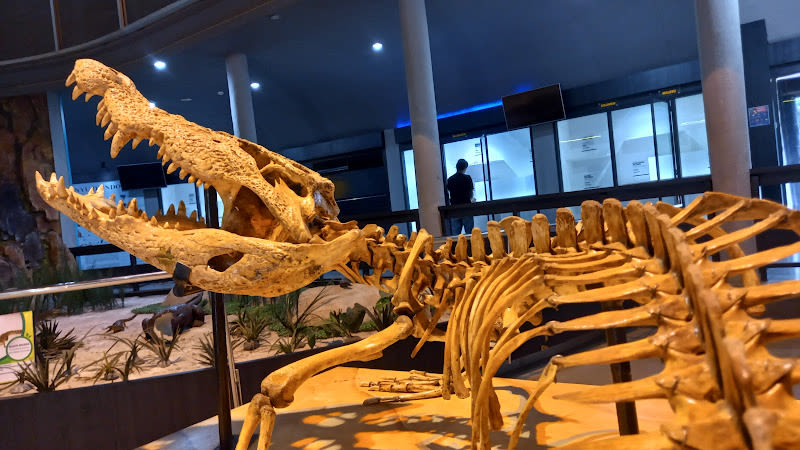 MUSEUM KOMODO - JAGAT SATWA NUSANTARA