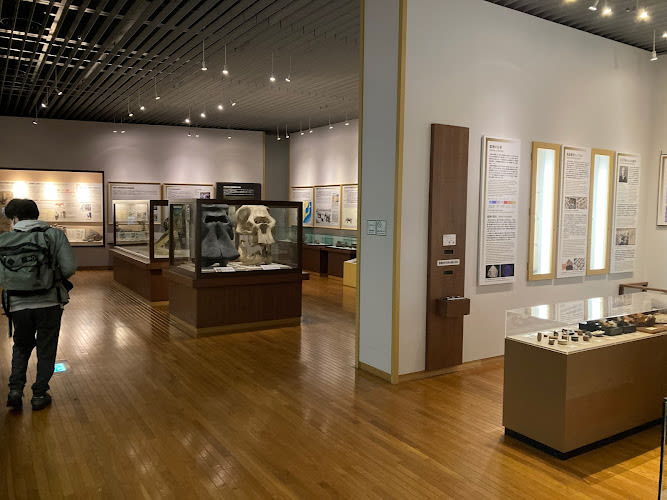 Kyoto University Museum