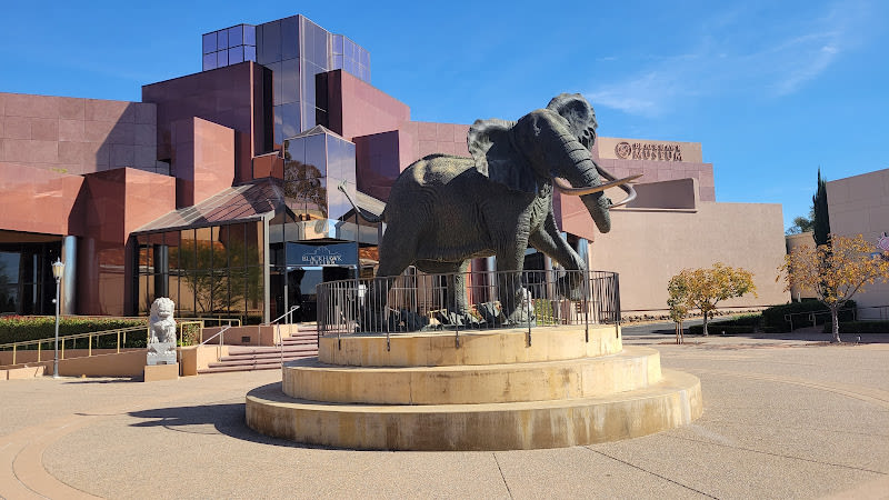 Blackhawk Museum
