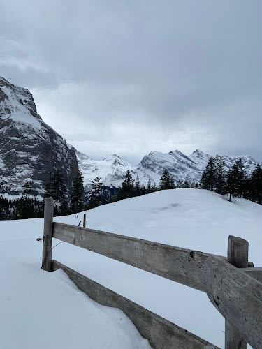 Jungfrau Viewing Point