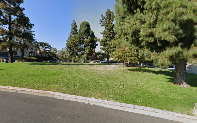 Triangle Park