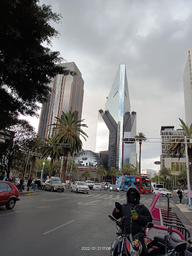 Capital Reforma 250
