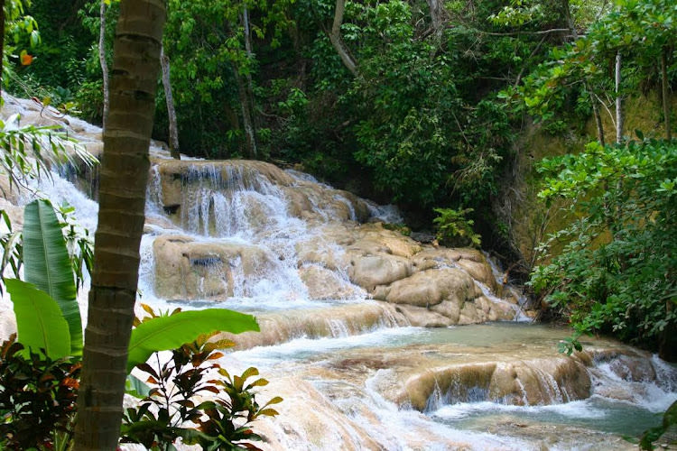 The World Famous Dunn's River Falls & Park