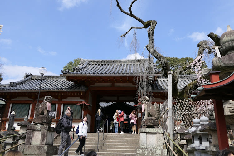 Okumura Commemorative Museum