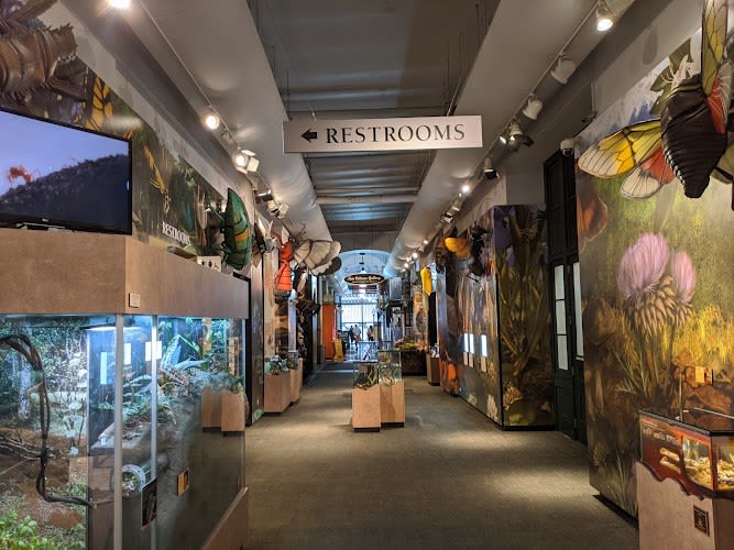 Audubon Insectarium