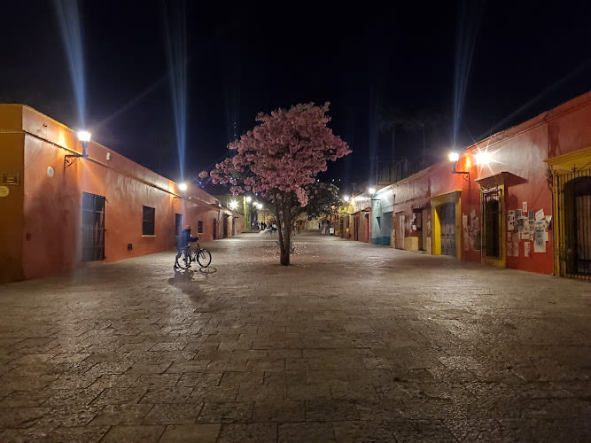 Jardín Conzatti
