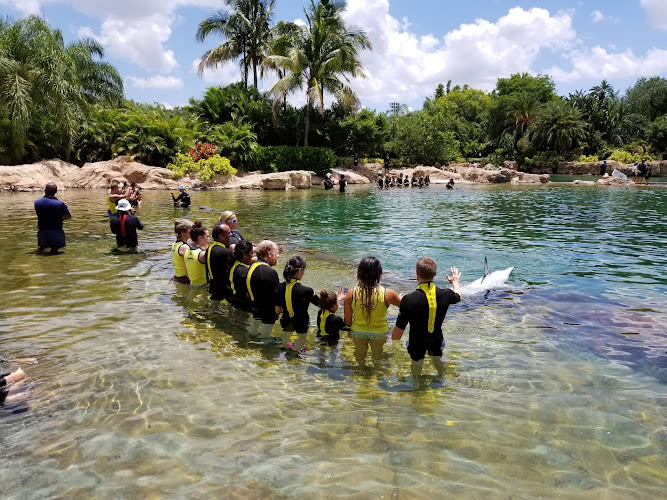 Discovery Cove