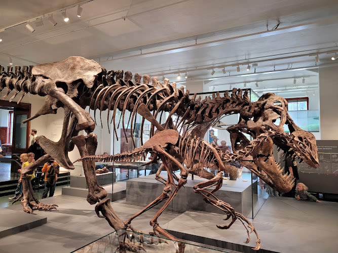 Naturhistorisk museum