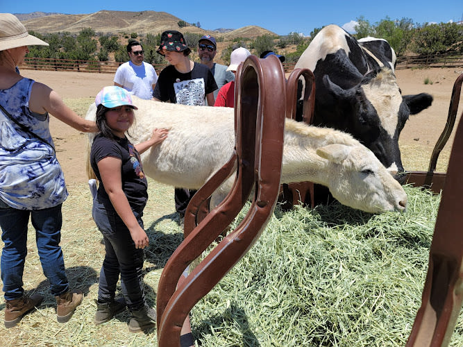 Farm Sanctuary