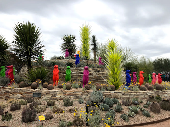 Desert Botanical Garden