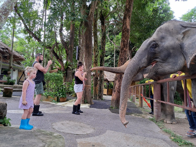 Bukit Elephant Park