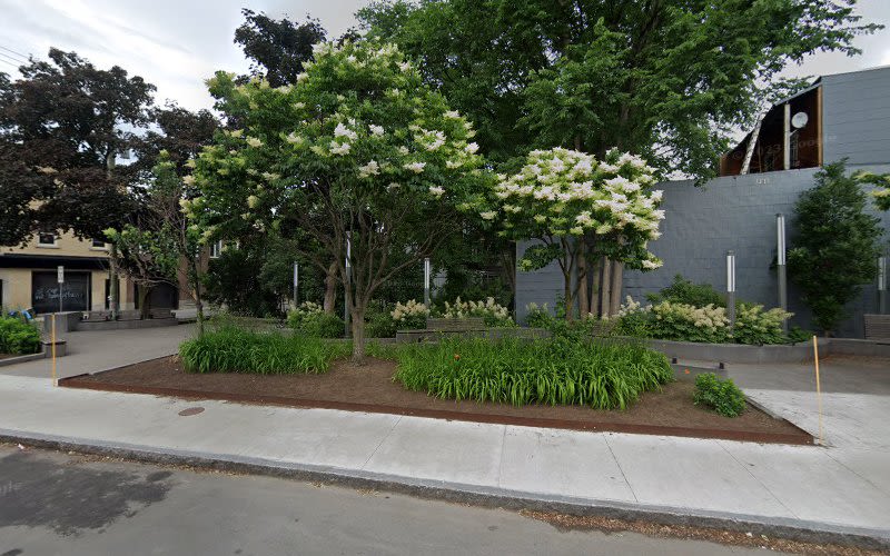 Dorchester Park