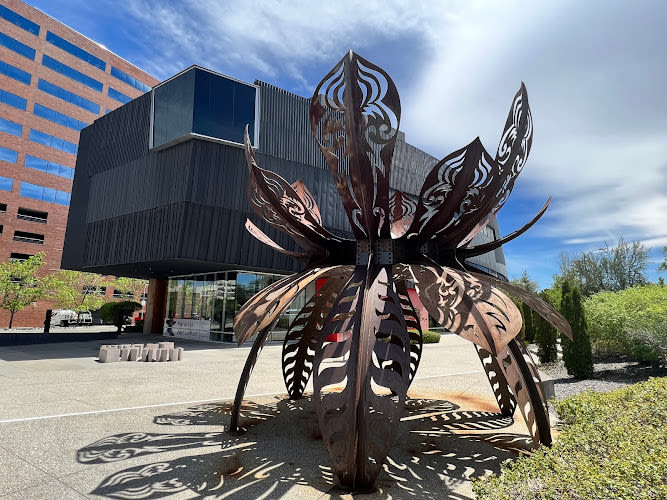 Nevada Museum of Art