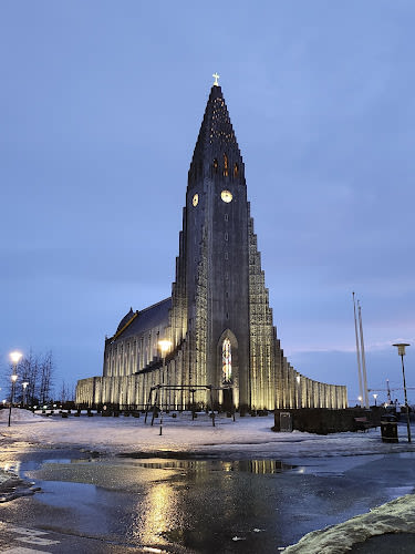 Dómkirkjan í Reykjavík