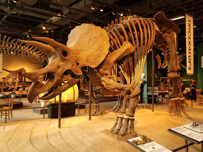 Science Museum of Minnesota