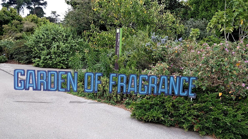 San Francisco Botanical Garden