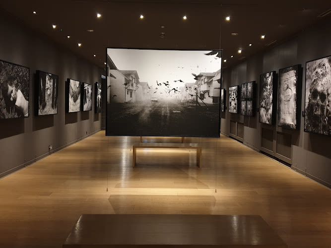 Gallery 11/07/95
